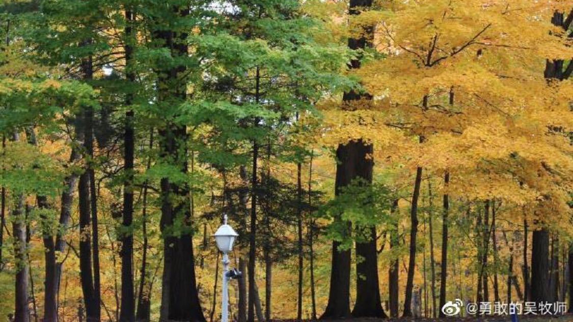 丁禹兮被野人追路透