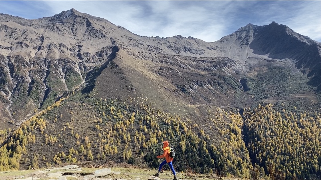 0.01快手抖音10000播放